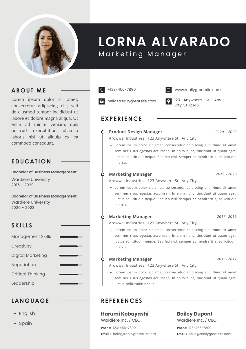 Professional modern CV